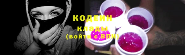 прущие грибы Алзамай