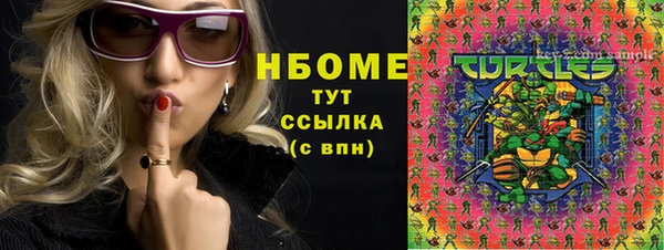 гидра Алексин