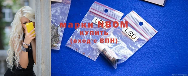 прущие грибы Алзамай