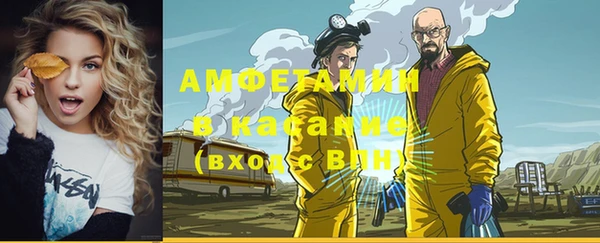 прущие грибы Алзамай