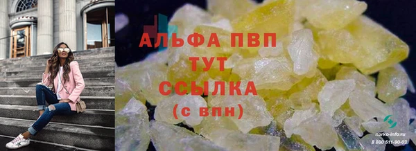 гидра Алексин